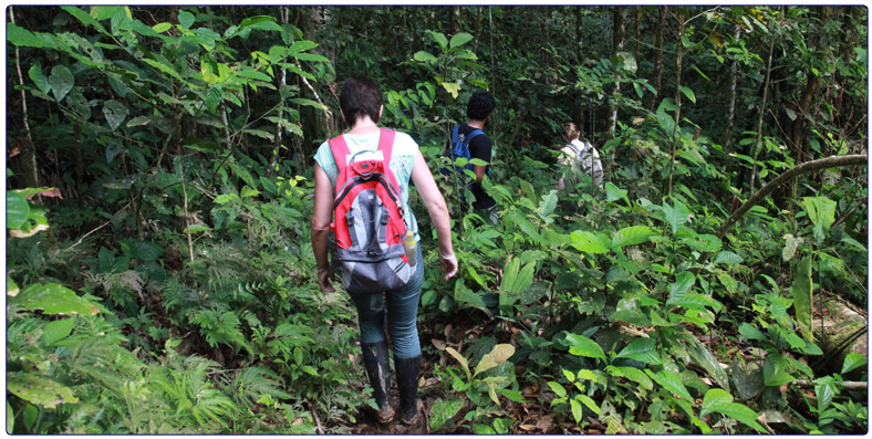 Jungletocht bij Yacumalodge